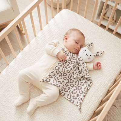 doudou bébé