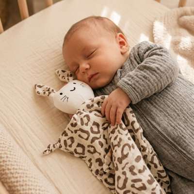 doudou bébé
