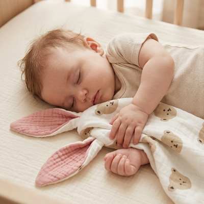 Doudou dans les bras de bebe